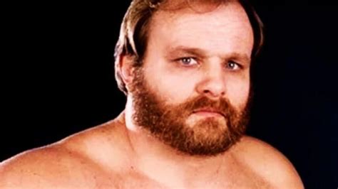 ole anderson